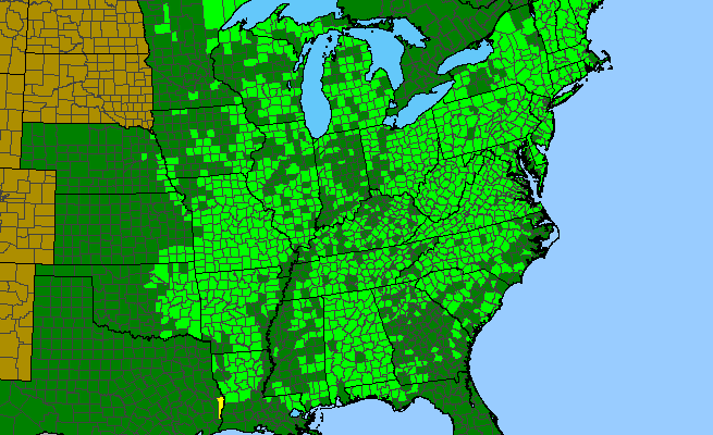The range of Amelanchier arborea